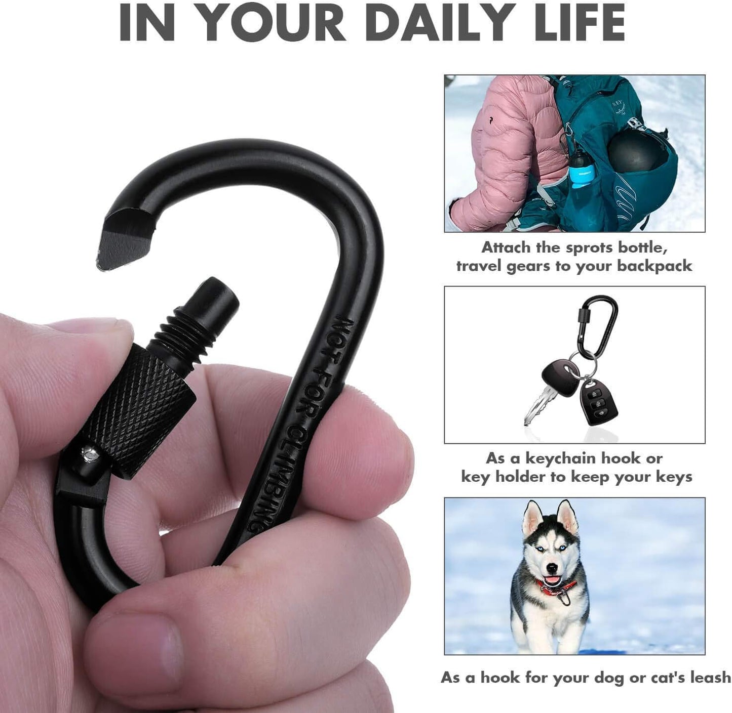 Locking Carabiner D Ring Clips with Flat Key Ring